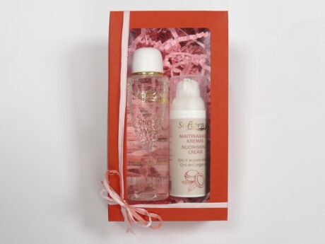 Gift set for beauty